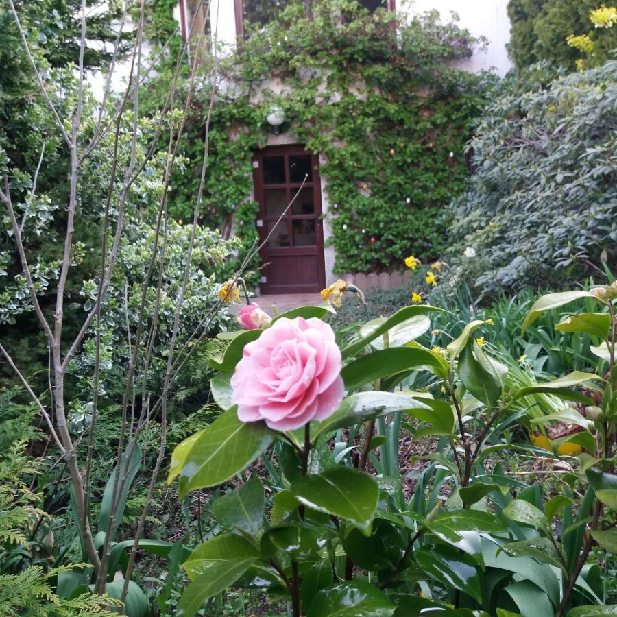 Appartement Auf Rugen Sagard Exteriér fotografie